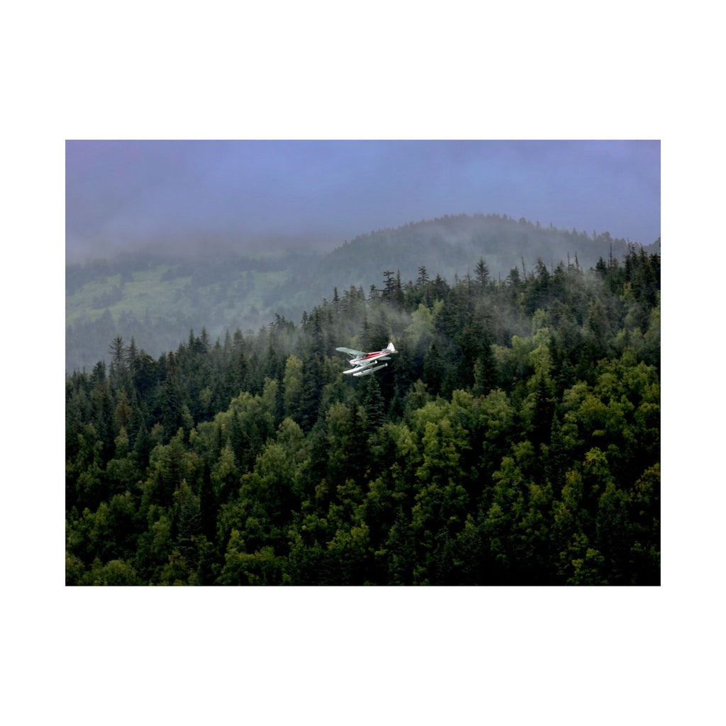 Aerial Nature Print Poster | Matte Horizontal Wall Art, Home Decor, Nature Lover Gift, Landscape Photography, Scenic Artwork, Tranquil Decor